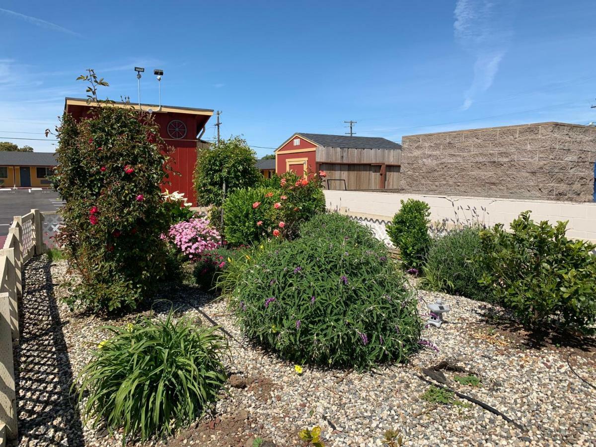 Wagon Wheel Motel Salinas Extérieur photo